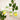 Trockene & empfindliche Haut